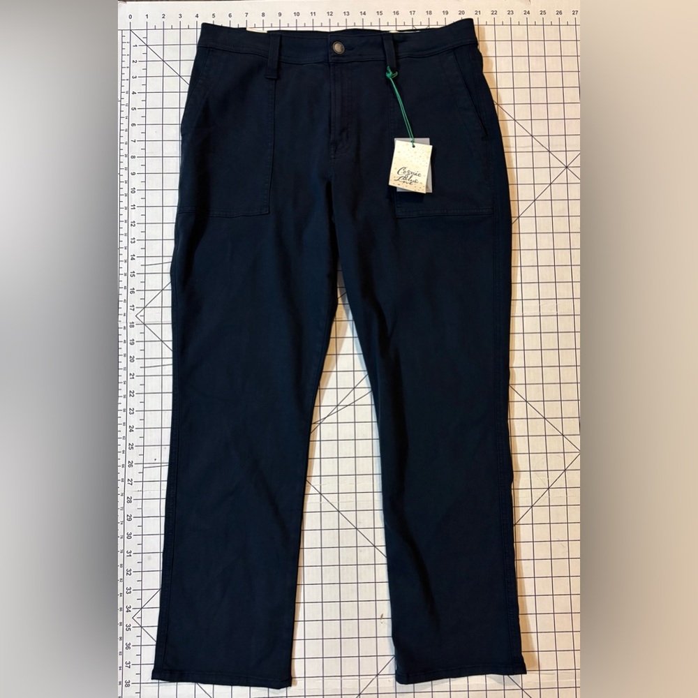 NWT Cosmic Blue Love by Pistola Women’s Size 31 Berlin Blue Pants‎